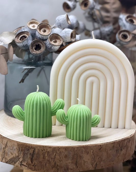 Set of Cactuses