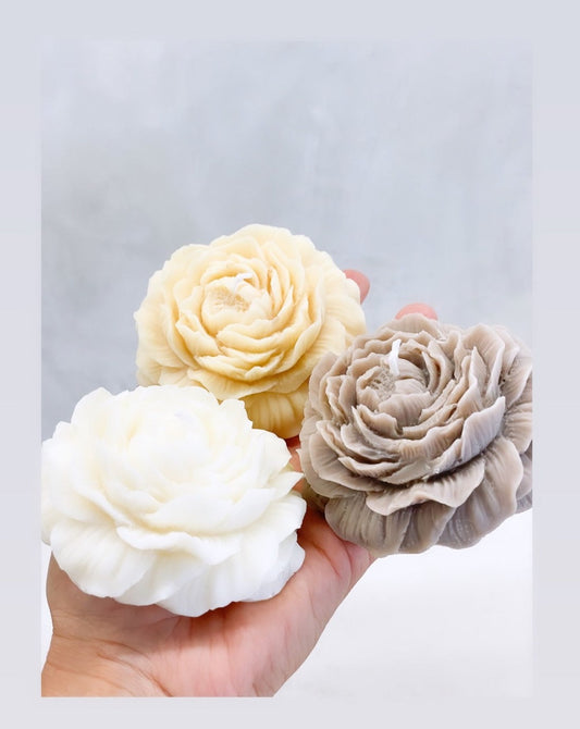 Peony flower