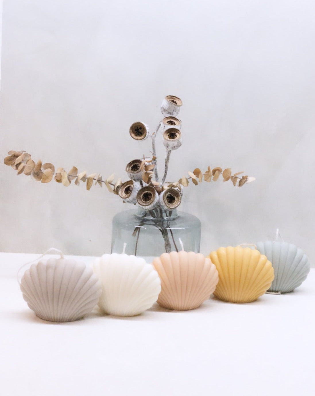 Shell