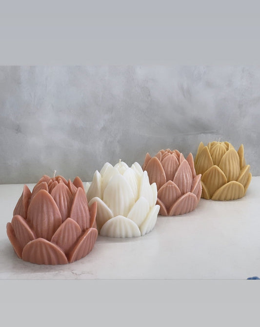 Lotus Flower