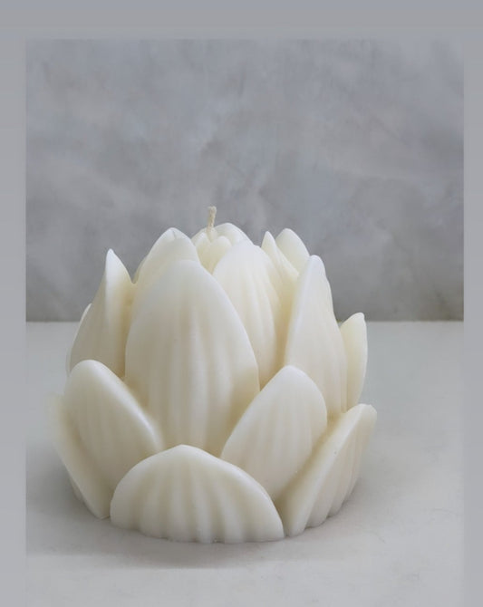 Lotus Flower