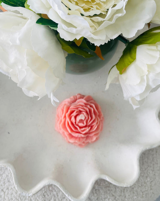 Peony flower