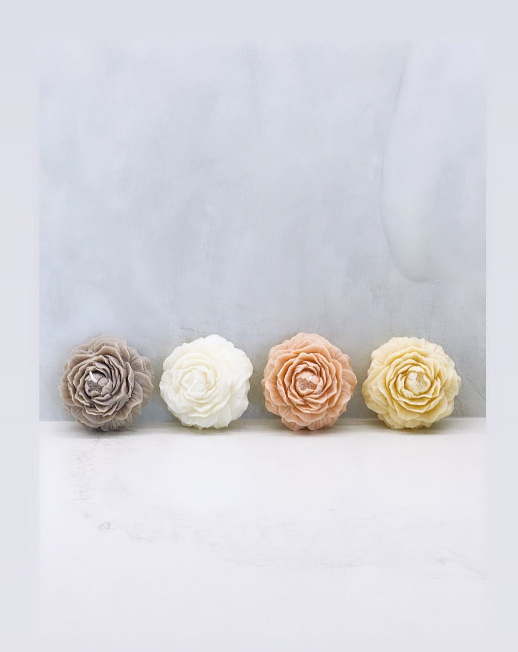 Peony flower