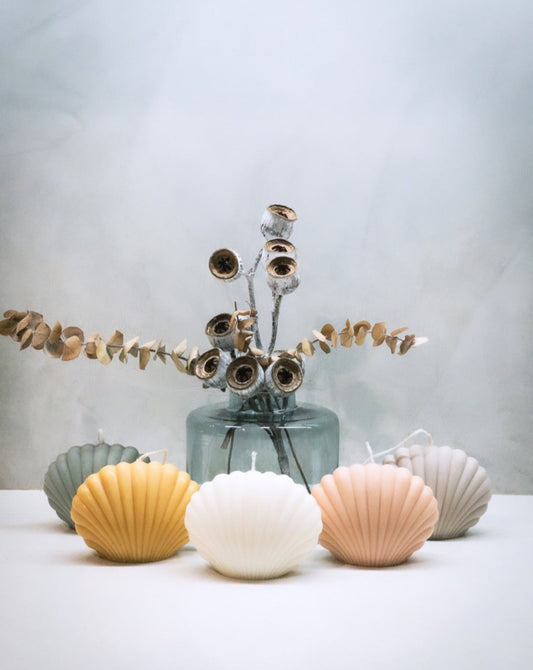 Shell