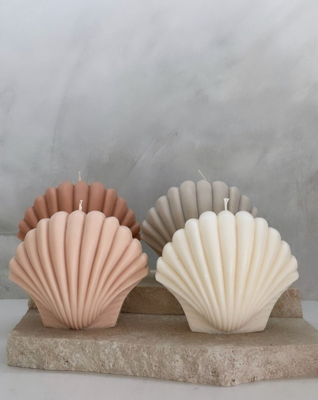 Laion’s Paw Shell