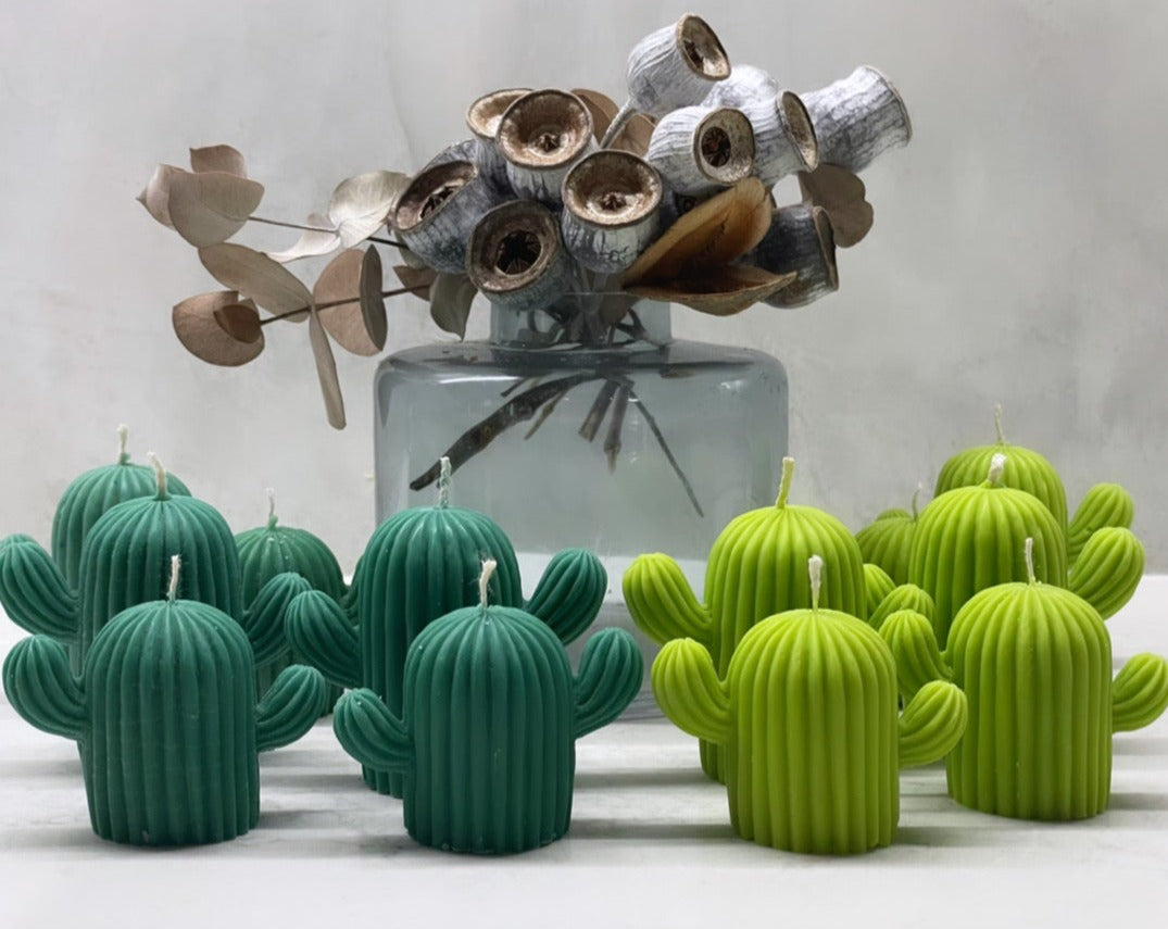 Set of Cactuses