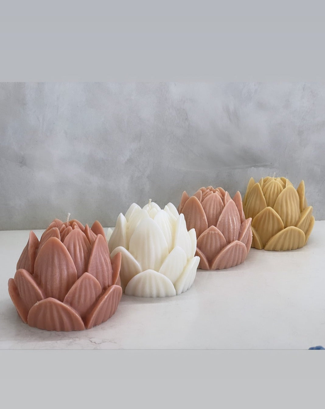 Lotus Flower