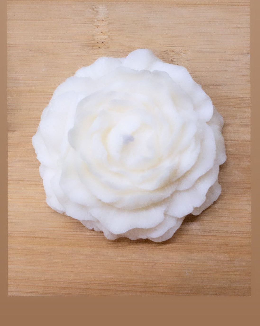Peony flower