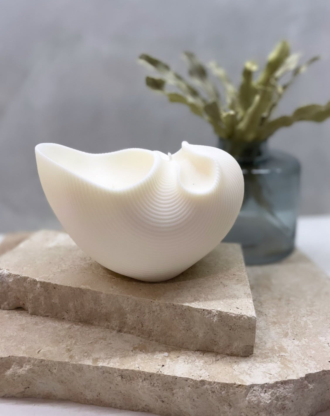 Pasta Shell